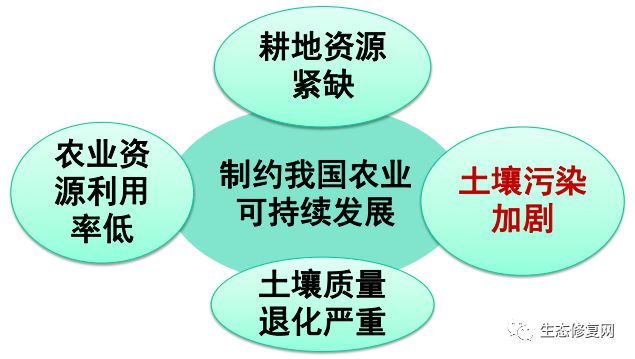 污染土壤修復(fù)治理對(duì)策與思考——以實(shí)踐服務(wù)推動(dòng)生態(tài)安全